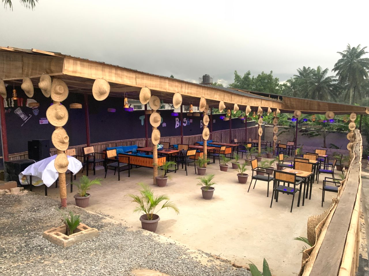 Tiano Hotel Bush Bar